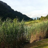 Albergo Eden