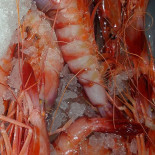 Al Barile food