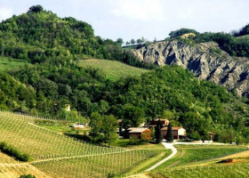 Agriturismo Corte D'aibo