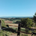 Vineria Porrati outside
