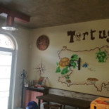 Tortuga inside