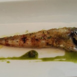 Mescola food
