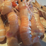 Osteria Da Chichibio Boisson