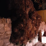 L'orso Bianco À l'intérieur