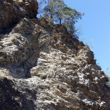 Papillon Exterior