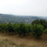 Paradiso