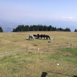 Malga Campet Extérieur