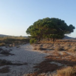Su Nuraghe Extérieur
