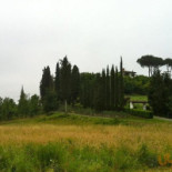 Amarcord outside