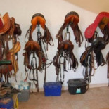 Equiturs Bebida
