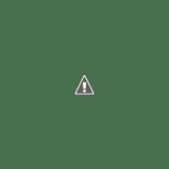 Il Cigno Nero Logo