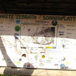 Parete Zebrata Carte