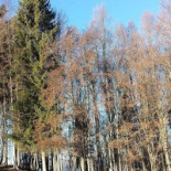 Al Cacciatore Extérieur