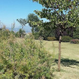Villa Assunta Extérieur