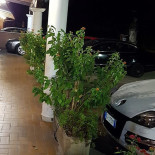 Fontanebianche outside