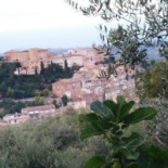 Florano Exterior