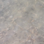 La Pajara Beach Bebida