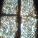 Paper Pizza Extérieur
