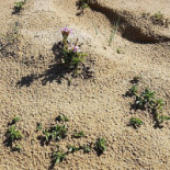 Lido Sahara Exterior