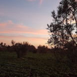 L'oasi Dei Sapori outside