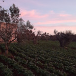 L'oasi Dei Sapori outside