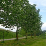 Bellavista Exterior