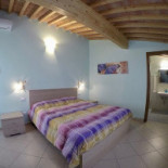Eucaliptus À l'intérieur