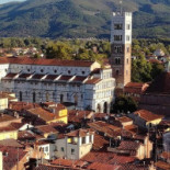 Tirovino
