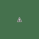 La Pace Logo