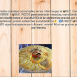 Risto Lime Carta