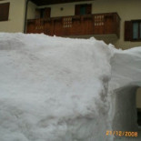 Nuoitas