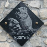 Nuoitas menu