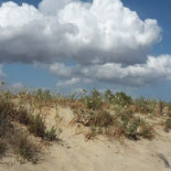 Calomabeach Extérieur
