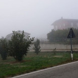 Trifula Bianca Exterior