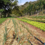 Il Carpaccio Exterior