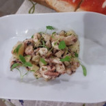 Shabby Comida