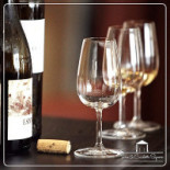 Il Castello Boisson