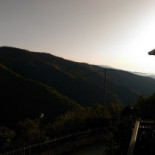 Rosa Selvatica outside