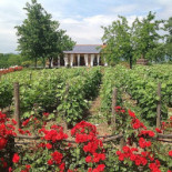 La Vigna Extérieur