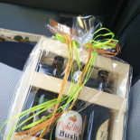 Novo Boisson