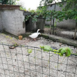 Agriturismo Il Miglio