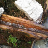 Rifugio Pellarini Boisson