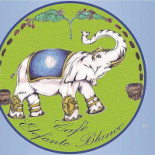 Matt Bierhaus Logo