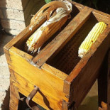Banchini Parma 1879 Boisson