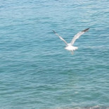 Pizzeria La Nuvola outside