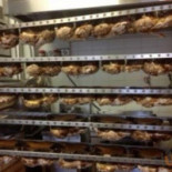Caffe Pasticceria Orchidea Nourriture