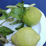 La Locanda Del Pescatore drink