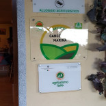 Non Solo Cicciole Carta