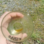 Dulcamara Boisson