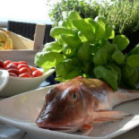 Punta Lena Comida